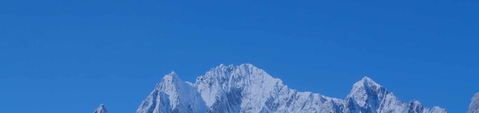 集團(tuán)動(dòng)態(tài)